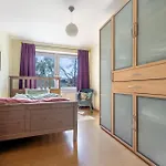 Sonnenschein 汉诺威